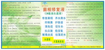 菌相修复液