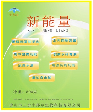 新能量